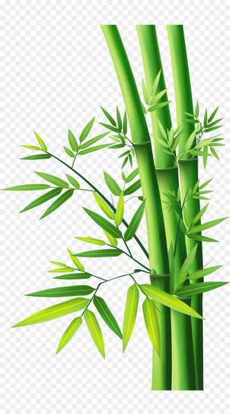 Bamboo - Bamboo Bamboo 
