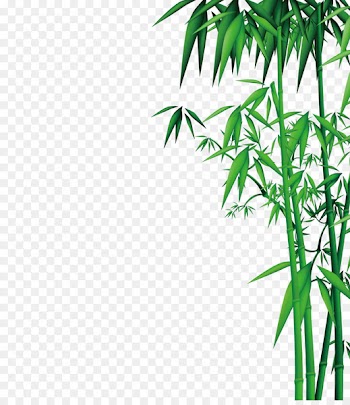 Bamboo Download - Bamboo 