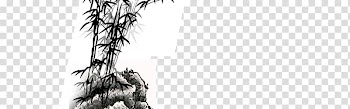 Bamboo Drawing , Sketch bamboo, bamboo leaves, ink, rockery transparent background PNG clipart