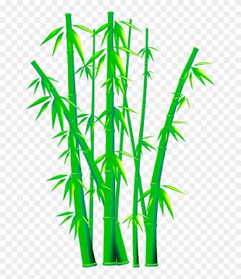 Bamboo Euclidean Vector Clip Art - Vector Bamboo Png
