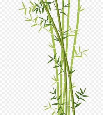 Bamboo Forest Euclidean vector Stock photography - Bamboo download 
