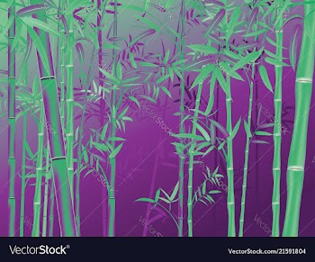 Bamboo forest scene vector image