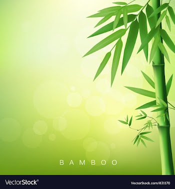  					Bamboo green leaf vector&nbsp;image														