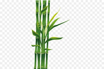 bamboo green plant plant stem flower