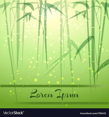  					Bamboo Groove vector image														