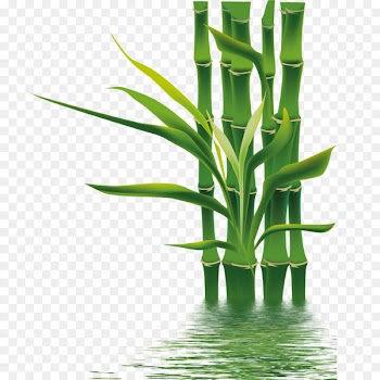 Bamboo If(we) Bamboe Wallpaper - bamboo 