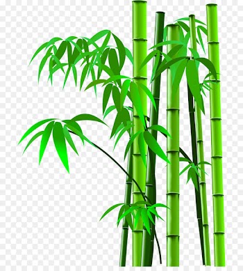 Bamboo Image scanner - Cartoon bamboo picture bamboo silhouette,bamboo 