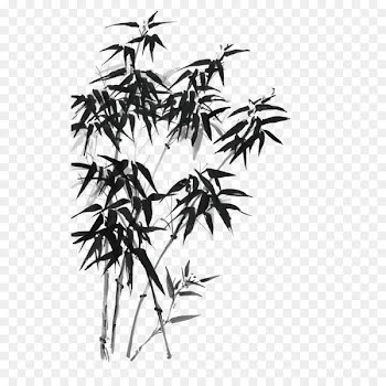 Bamboo Ink wash painting Drawing Illustration - Ink bamboo vector 