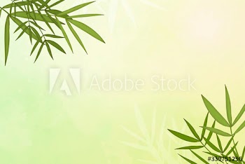 Bamboo leaf background