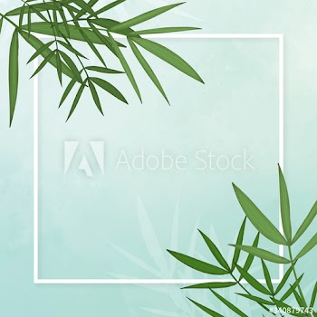 Bamboo leaf background