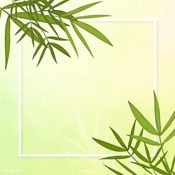 Bamboo leaf background | Free stock illustration - 599604