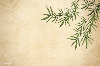 Bamboo leaf background | Free stock illustration - 599612