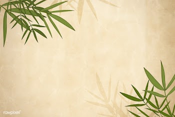 Bamboo leaf background | Free stock illustration - 599627