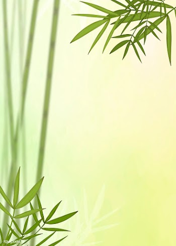 Bamboo leaf background | Free stock illustration - 599639