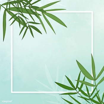 Bamboo leaf background | Free stock illustration - 599683