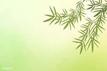 Bamboo leaf background | Free stock illustration - 599693