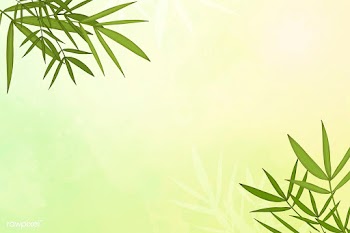 Bamboo leaf background | Free stock illustration - 599703
