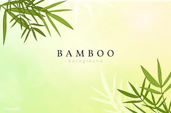 Bamboo leaf background | Free stock vector - 599610