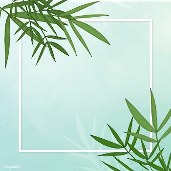 Bamboo leaf background | Free stock vector - 599669