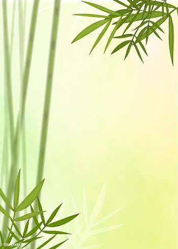 Bamboo leaf background | Free stock vector - 599676
