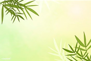 Bamboo leaf background | Free stock vector - 599688