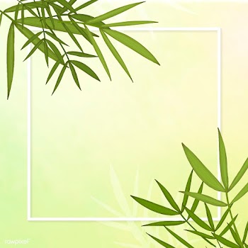 Bamboo leaf background | Free stock vector - 599691