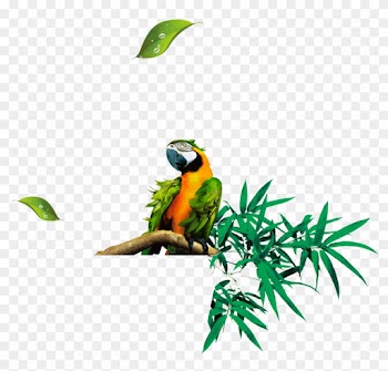 Bamboo Leaf Euclidean Vector - Bamboo Leaf Euclidean Vector