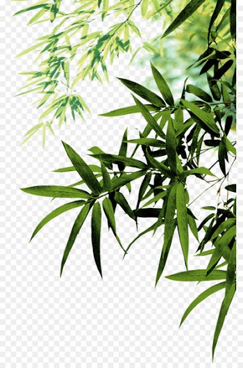 Bamboo Leaf Ink Icon - Bamboo leaves 