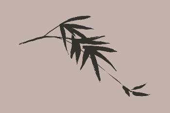 Bamboo leaf line art, aesthetic | Free Photo - rawpixel