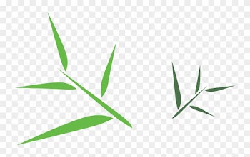 Bamboo Leaf Png
