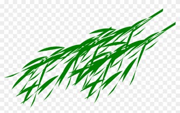 Bamboo Leaf Png Transparent Image - Panda Bear Eating Bamboo