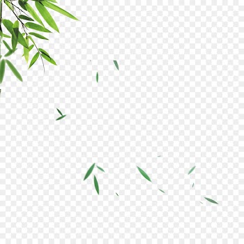 Bamboo Leaf Skin - Green bamboo leaves falling material 
