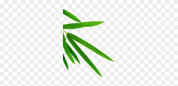 Bamboo Leaves, Bamboo Leaves, Leaf, Leaves Green Png - Leaf