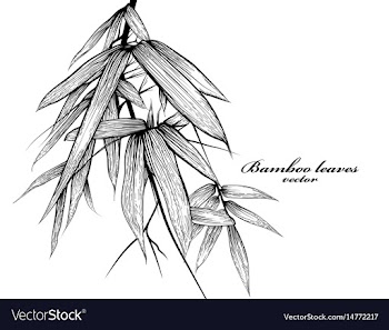 Bamboo leaves scene vector image