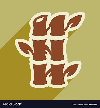 Bamboo leaves vector image