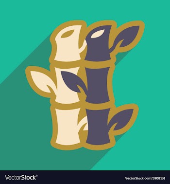 Bamboo leaves vector image