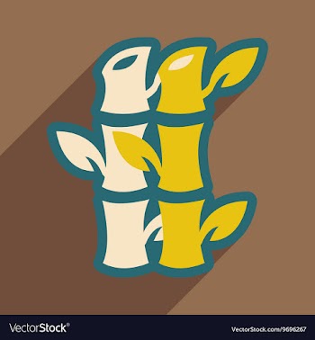 Bamboo leaves vector image