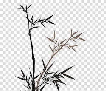 Bamboo Painting Euclidean Bamboe, Bamboo leaves transparent background PNG clipart