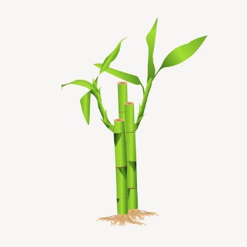 Bamboo plant clipart, collage element | Free PSD - rawpixel