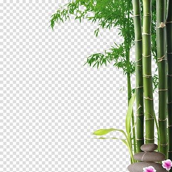 Bamboo plant , Mural Wall Nature Painting Art, bamboo transparent background PNG clipart