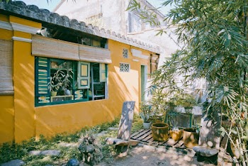 Bamboo Plant Outside a Yellow Concrete Building