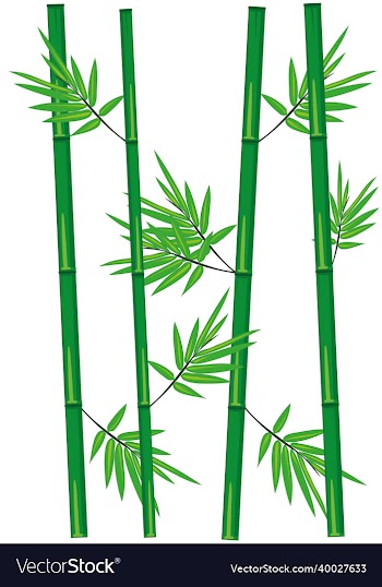 bamboo stem with leaves