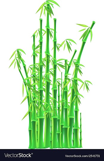Bamboo sticks over white background vector image