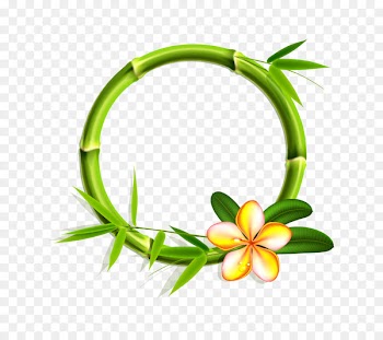Bamboo Stock photography Clip art - bamboo 