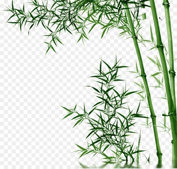 Bamboo Toothpaste - bamboo,Bamboo 