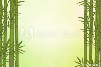 Bamboo tree background
