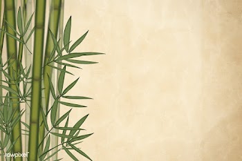 Bamboo tree background | Free stock illustration - 599644