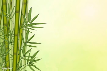 Bamboo tree background | Free stock illustration - 599689