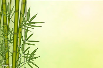 Bamboo tree background | Free stock vector - 599622