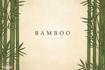 Bamboo tree background | Free stock vector - 599642